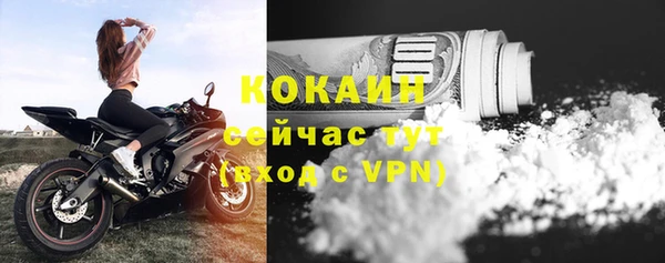 твердый Аркадак