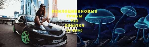 соль ск Арсеньев