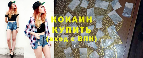 твердый Аркадак